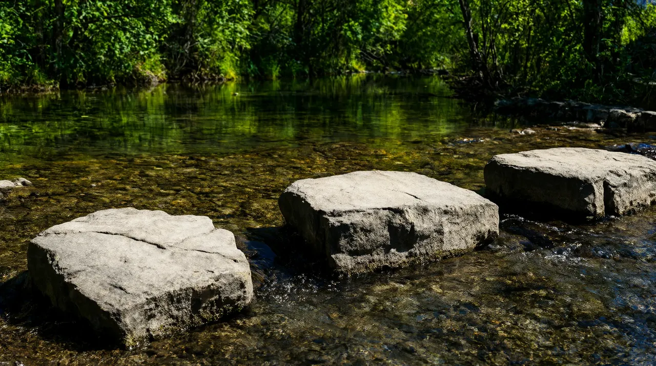 Tres piedras planas que cruzan un arroyo transparente en un bosque soleado.
