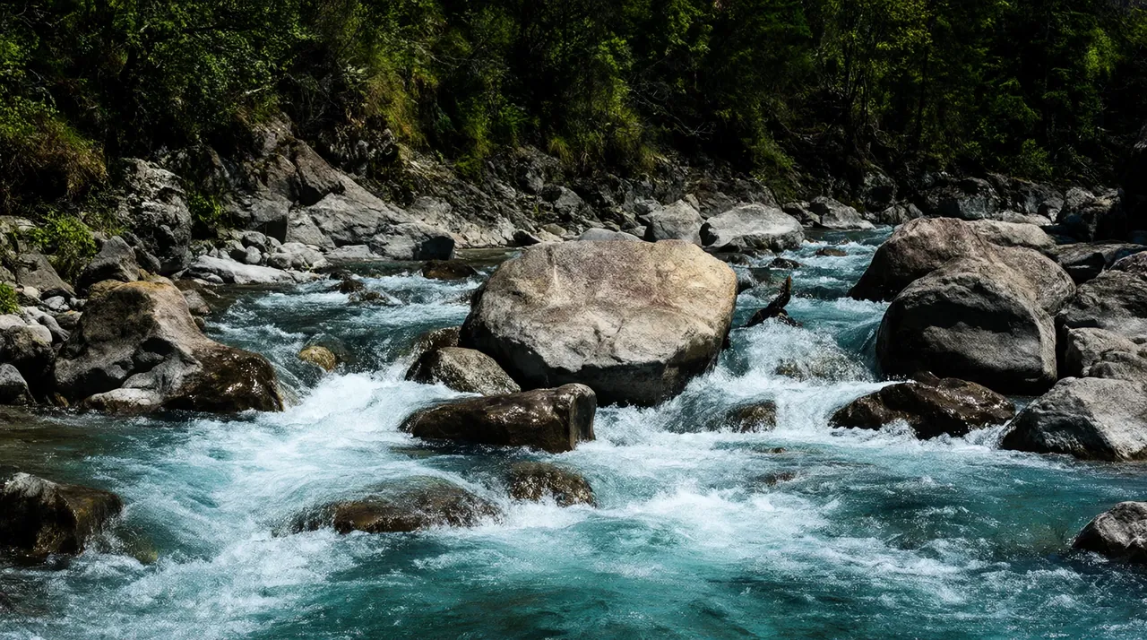Un río de agua turquesa que fluye entre grandes rocas en un bosque