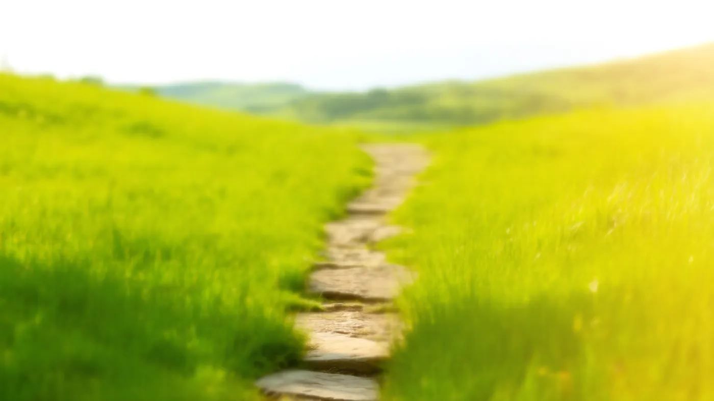 Un camino de piedras que se aleja entre la hierba verde bajo la luz del día