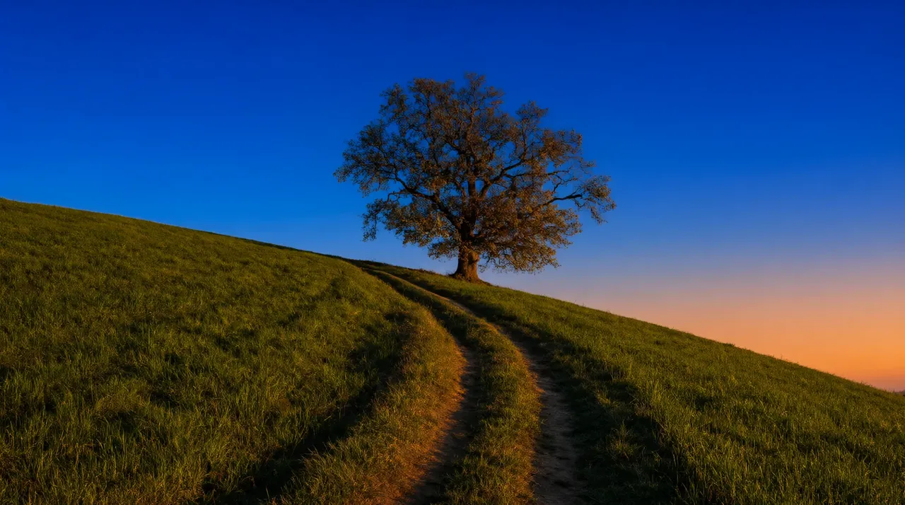 Un camino que sube por una colina verde hacia un roble solitario al atardecer