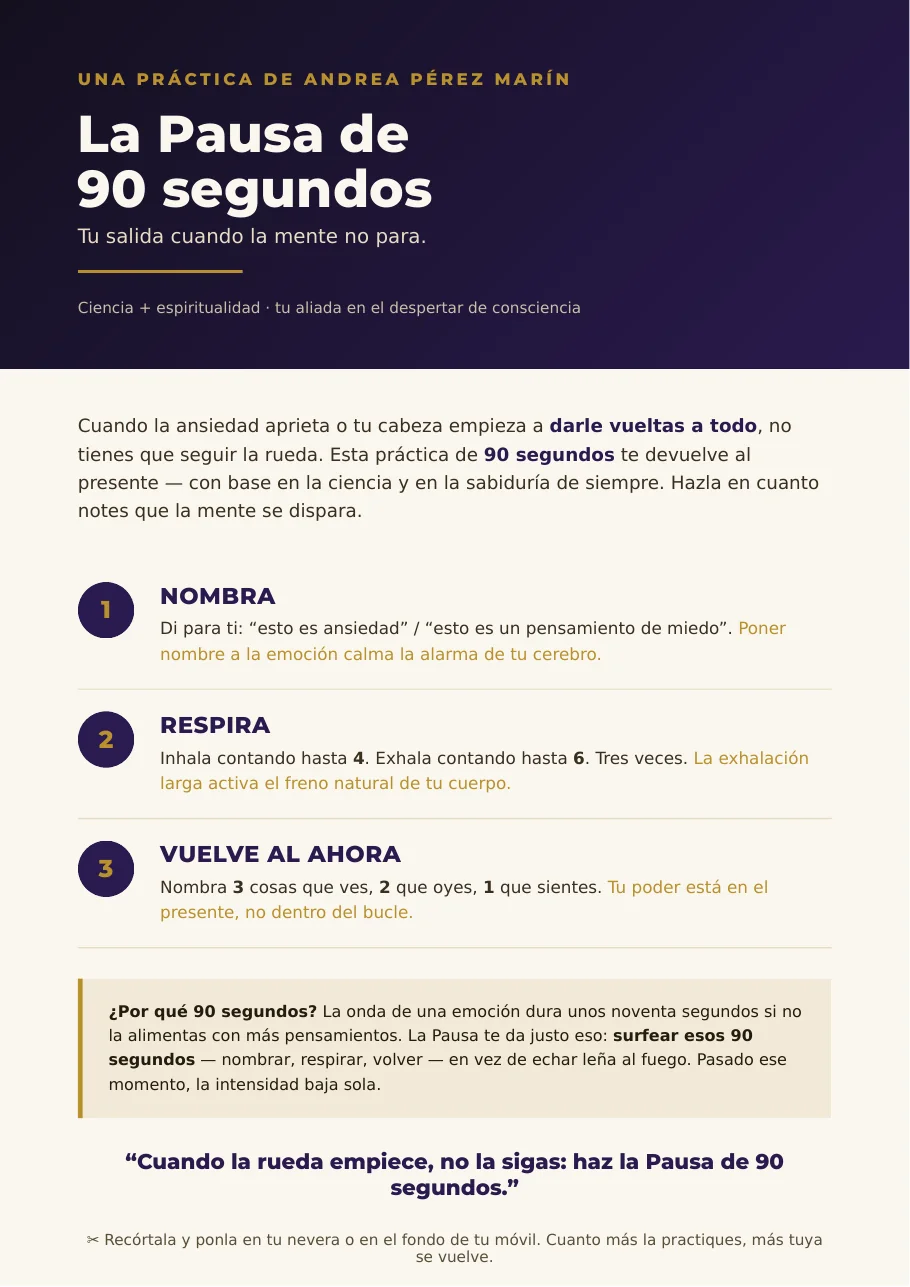 Portada de «La Pausa de 90 segundos»